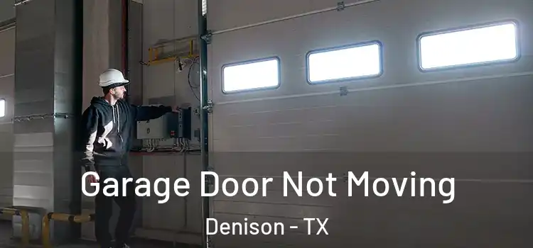  Garage Door Not Moving Denison - TX