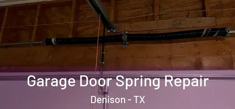  Garage Door Spring Repair Denison - TX