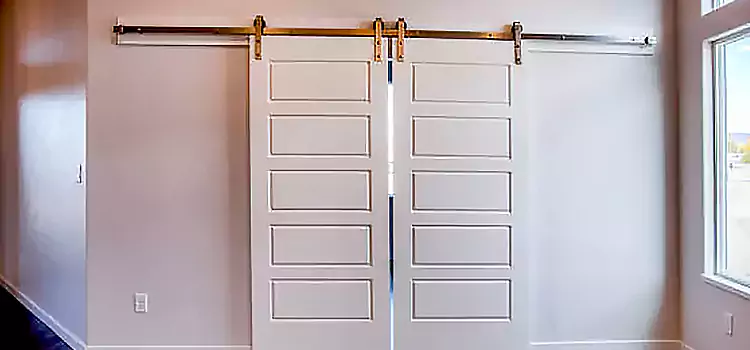 Glass Barn Door with Installation Hardware Kit Denison