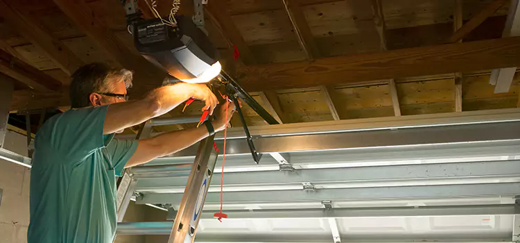 Garage Door Opener Sales and Installation Denison