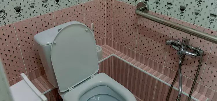 Meeting Diverse Needs With Accessible Restroom Solutions in Denison, TX