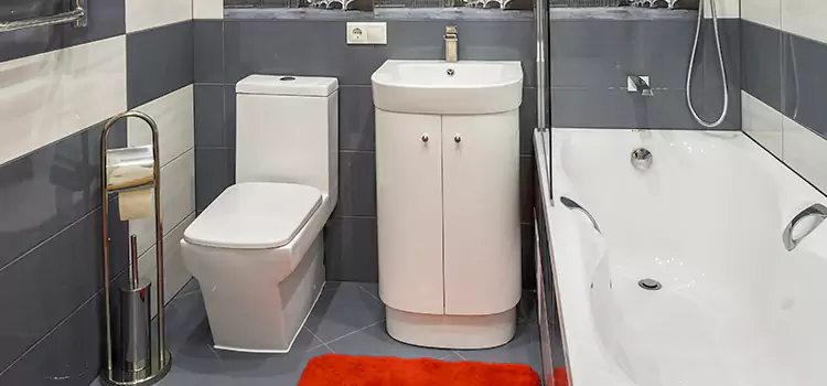 Hansgrohe Shaving Mirror Denison